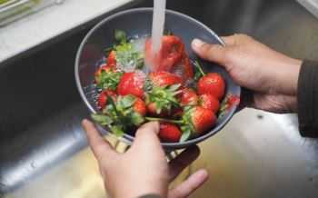 aardbeien