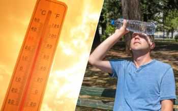 zomer hitte warmte 