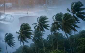 storm - regen