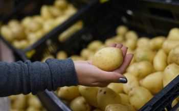 aardappelen