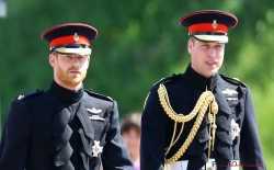 Prins Harry en Prins William