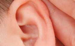 oor - horen