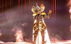 Ridder in 'The Masked Singer'