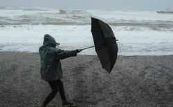 Storm - wind - paraplu