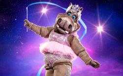 Hippo