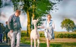 Boer Zkt Vrouw