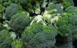 broccoli