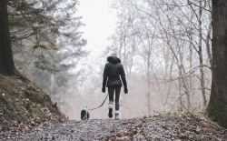 wandelen, hond, natuur, regen