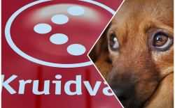 Kruidvat - hond