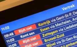 Staking