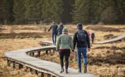 Hoge Venen - wandelen