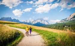 bergen, wandelen, reizen, 