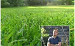 Roeland Vranckx Tuinen Vranckx