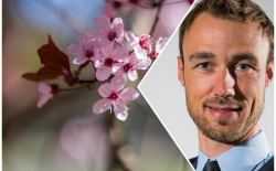 Bram Verbruggen - lente