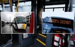 staking de lijn
