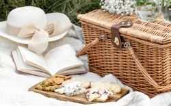 picnic