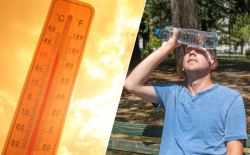 zomer hitte warmte 
