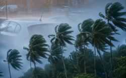 storm - regen