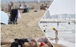 strand knokke