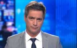 stef wauters