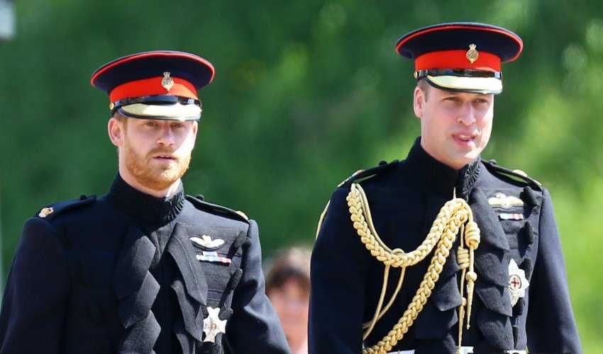 Prins Harry en Prins William