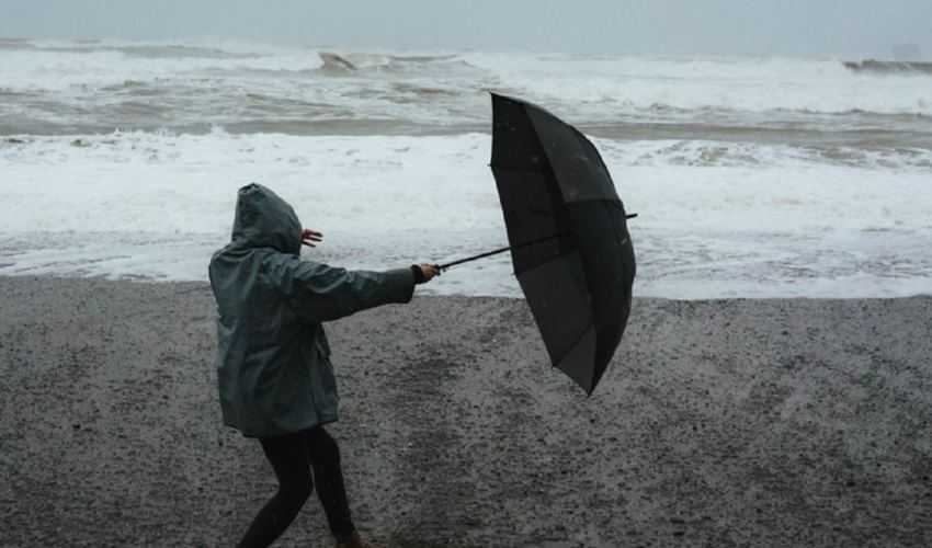 Storm - wind - paraplu