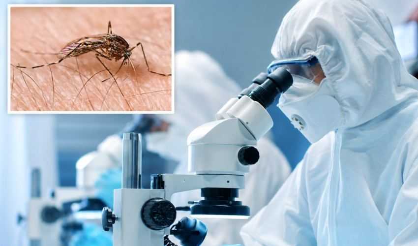 westnijlvirus